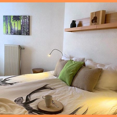 Baechle Im Wanderparadies Balkon Mit Blick Auf Den Bach Sauna Im Haus Tiefgarage E-Ladestation Todtnauberg Dış mekan fotoğraf