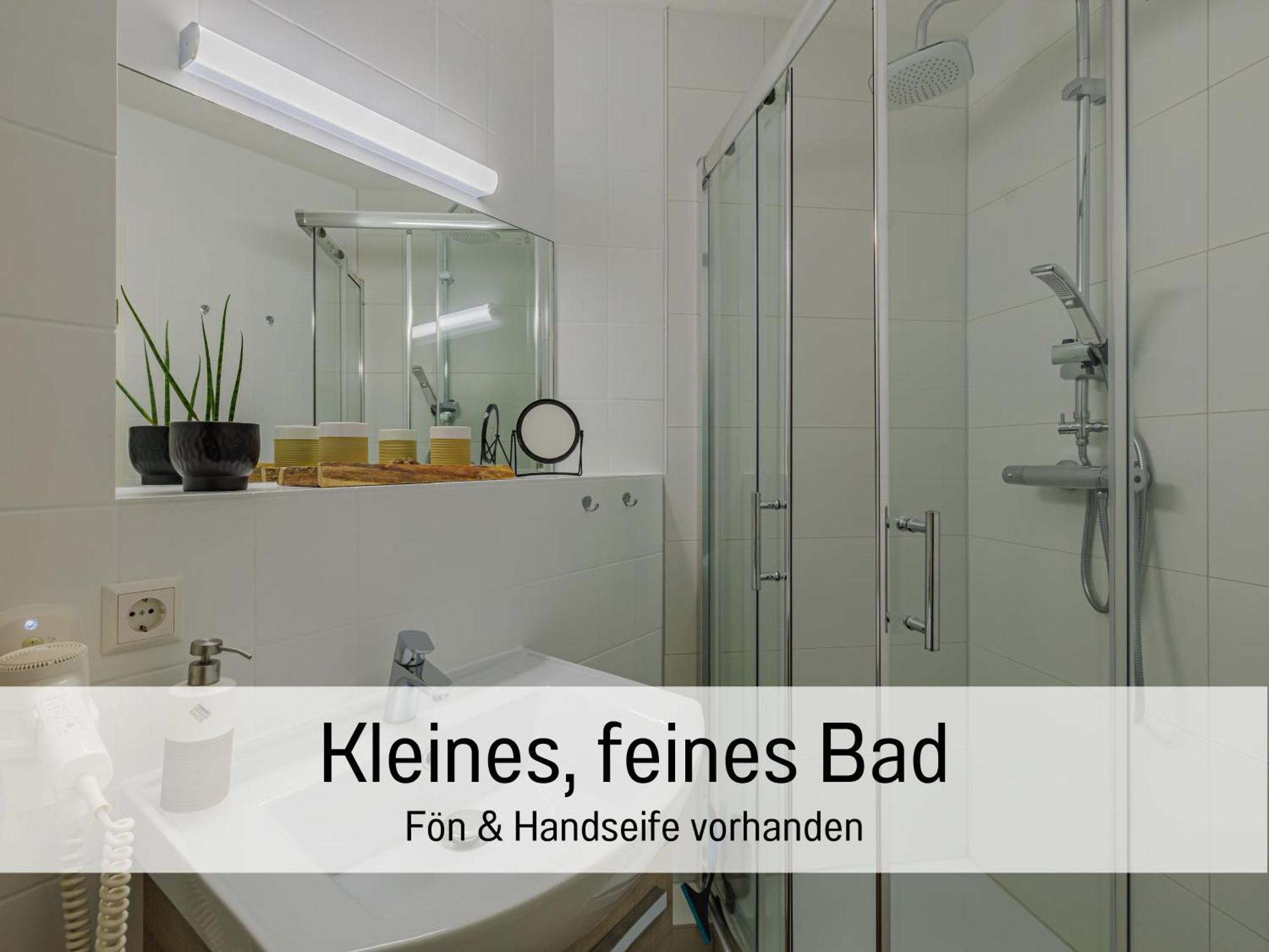 Baechle Im Wanderparadies Balkon Mit Blick Auf Den Bach Sauna Im Haus Tiefgarage E-Ladestation Todtnauberg Dış mekan fotoğraf