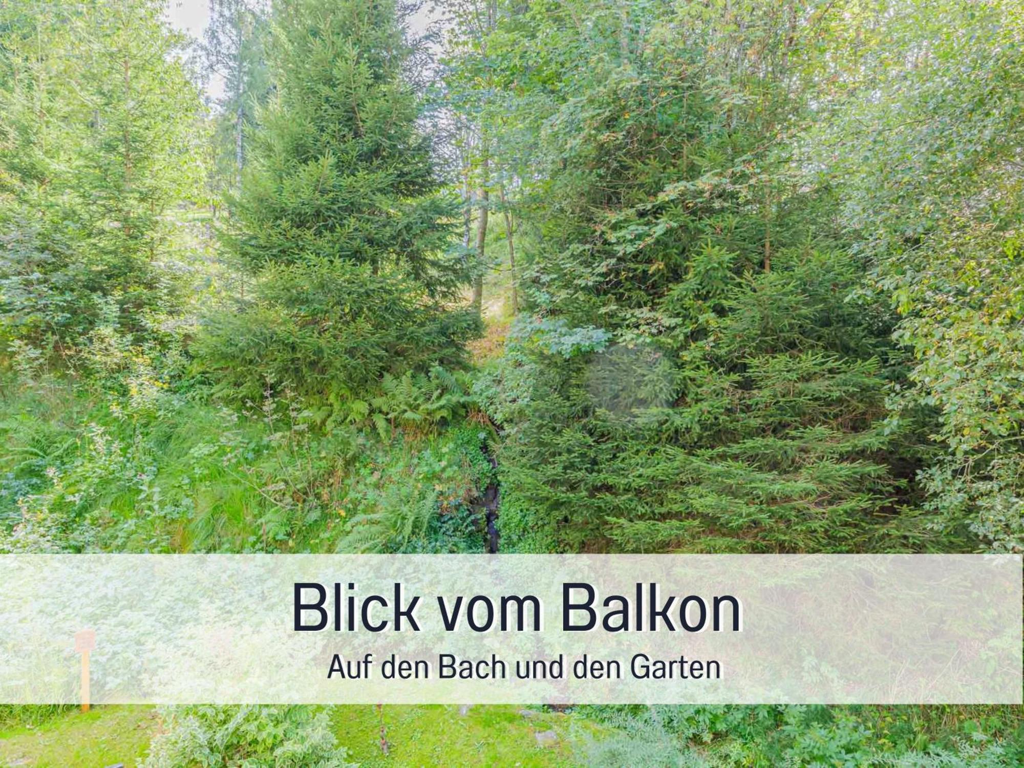 Baechle Im Wanderparadies Balkon Mit Blick Auf Den Bach Sauna Im Haus Tiefgarage E-Ladestation Todtnauberg Dış mekan fotoğraf
