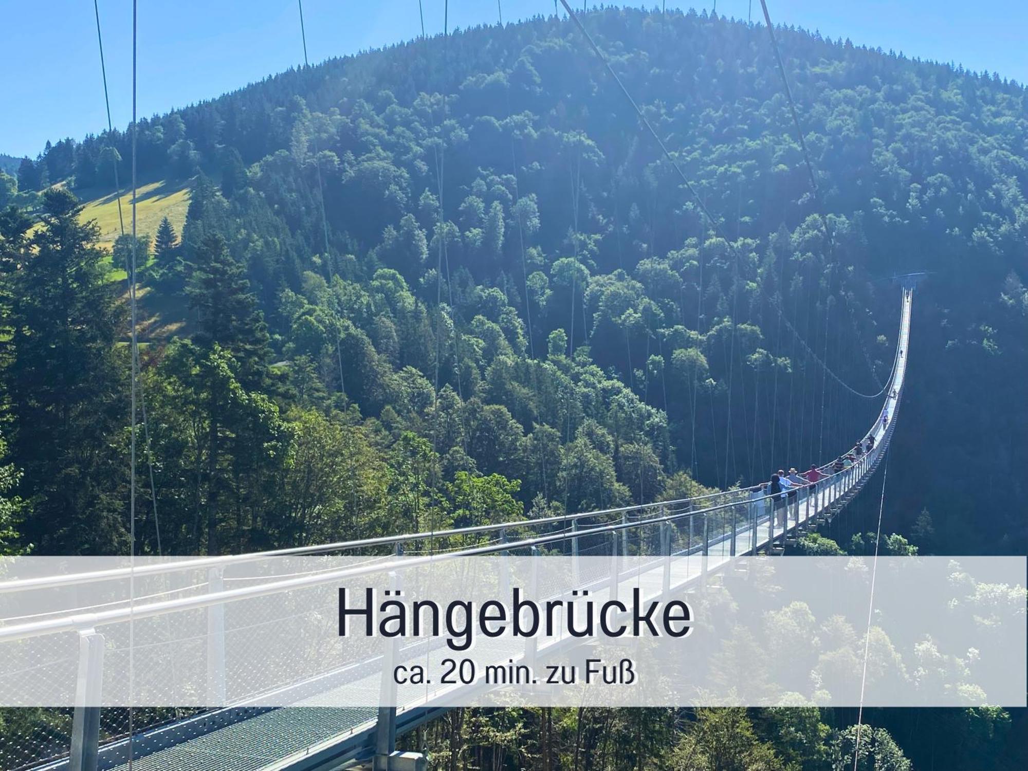 Baechle Im Wanderparadies Balkon Mit Blick Auf Den Bach Sauna Im Haus Tiefgarage E-Ladestation Todtnauberg Dış mekan fotoğraf